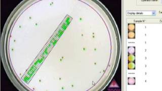 Interscience - Scan500