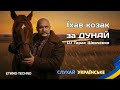 🎧 DJ Тарас Шевченко — “Їхав козак за Дунай” | Українська музика  Remix 2025 |