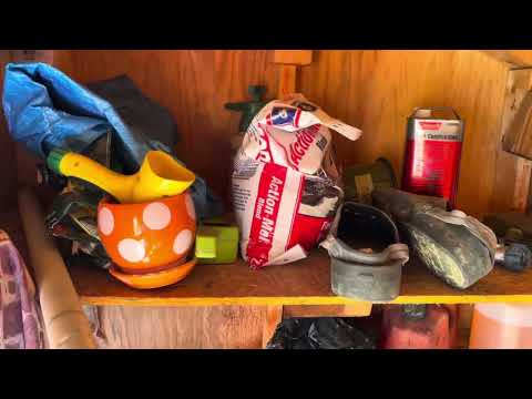 9 12 25 Auction Shed Contents Long Tools Misc