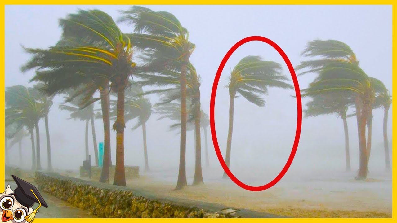 20 Glitches de la vie réelle capturés par la caméra