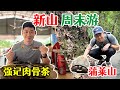 【新山周末游】必吃强记肉骨茶，蒲莱山惊现巨型野生大陆龟