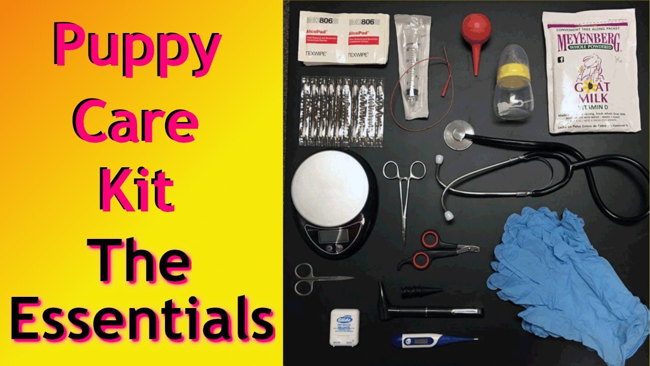 Puppy care kit YouTube