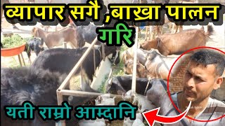 व्यापार संगसंगै, बाख्रा पालन गरेर लाखौ कमाउदै _ Goat Farming in Nepal _bakhra palan, Nayak Krishi tv