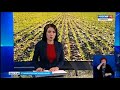 Видеосюжет ГТРК &quot;Ставрополье&quot;. Технология no-till. Весна 2019 года