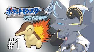 【ポケモンHGSS】パンコゲと行くジョウト制圧の旅　＃1