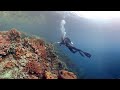 Ocean: A 360-degree tour of the mysterious, magical corals of Palau