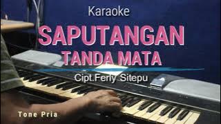 SAPUTANGAN TANDA MATA Cipt.Ferly Stp | Karaoke Tone Pria