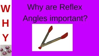 Celebrity Relevance of Reflex Angles Net Worth