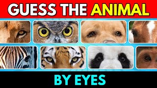 Guess the Animal by Eyes 👀 | Animal Quiz 🐶🦓