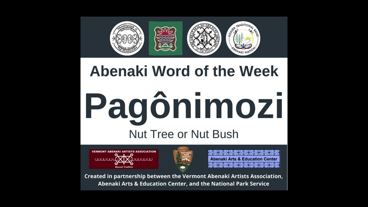Abenaki Word of the Week: Pagônimozi