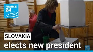 Slovakia elects new president amid deep divisions over Ukraine war • FRANCE 24 English