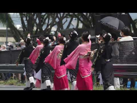 豊川おいでん祭　常笑　(2023/5/27 ケヤキ会場)