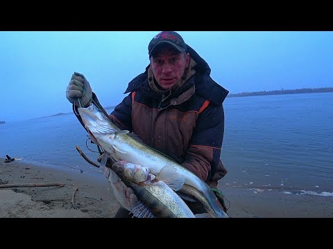 Видео: ОДИН больше ДРУГОГО!  Ловля КРУПНОГО СУДАКА на РЕЗИНКИ в снег и ветер! Рыбалка 2022