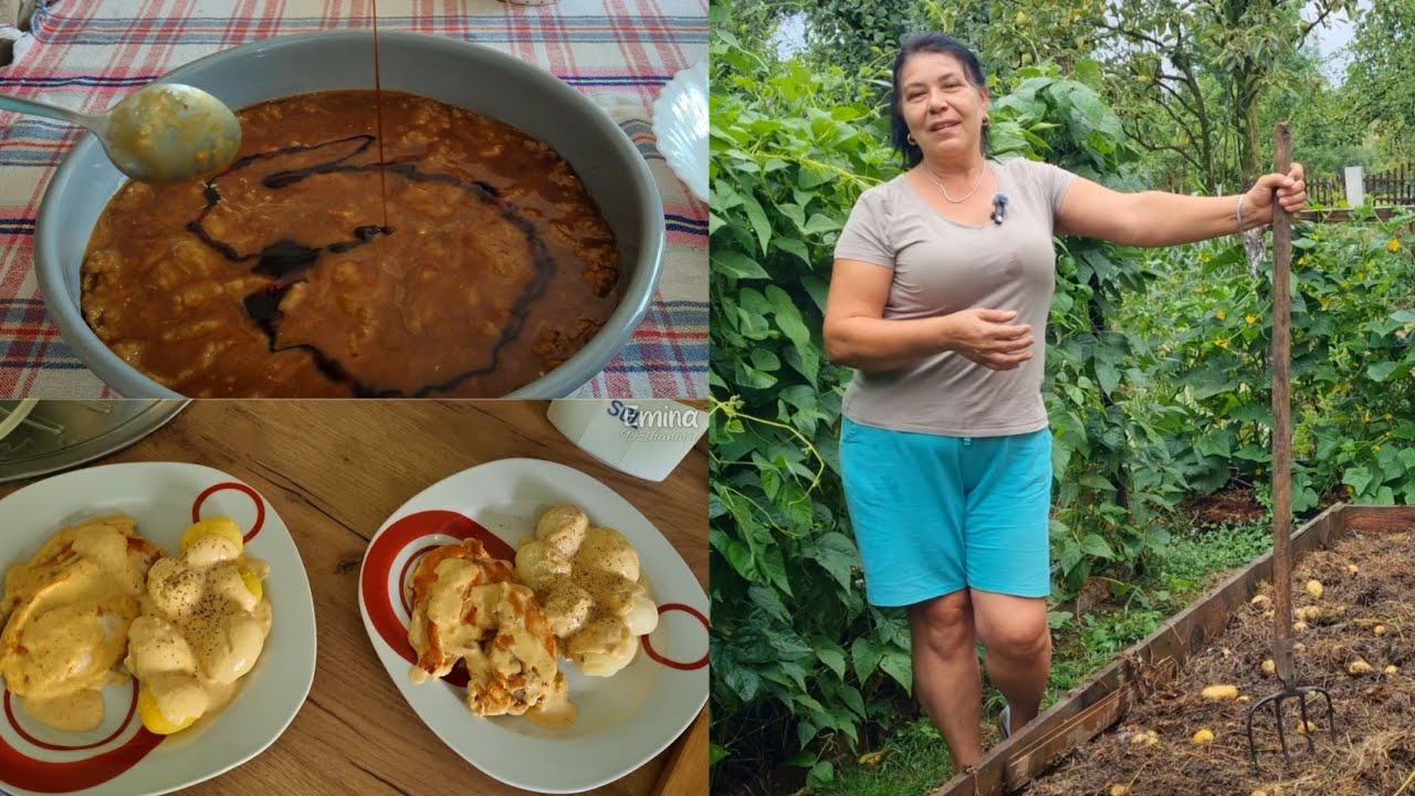 Sadnja kupusa i vađenje krompira - dan uz halvušu i pileći file u krem sosu🥬🍛