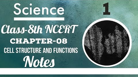 Science Class 8 Chapter Cell Structure and Functions | Notes Based Part 01