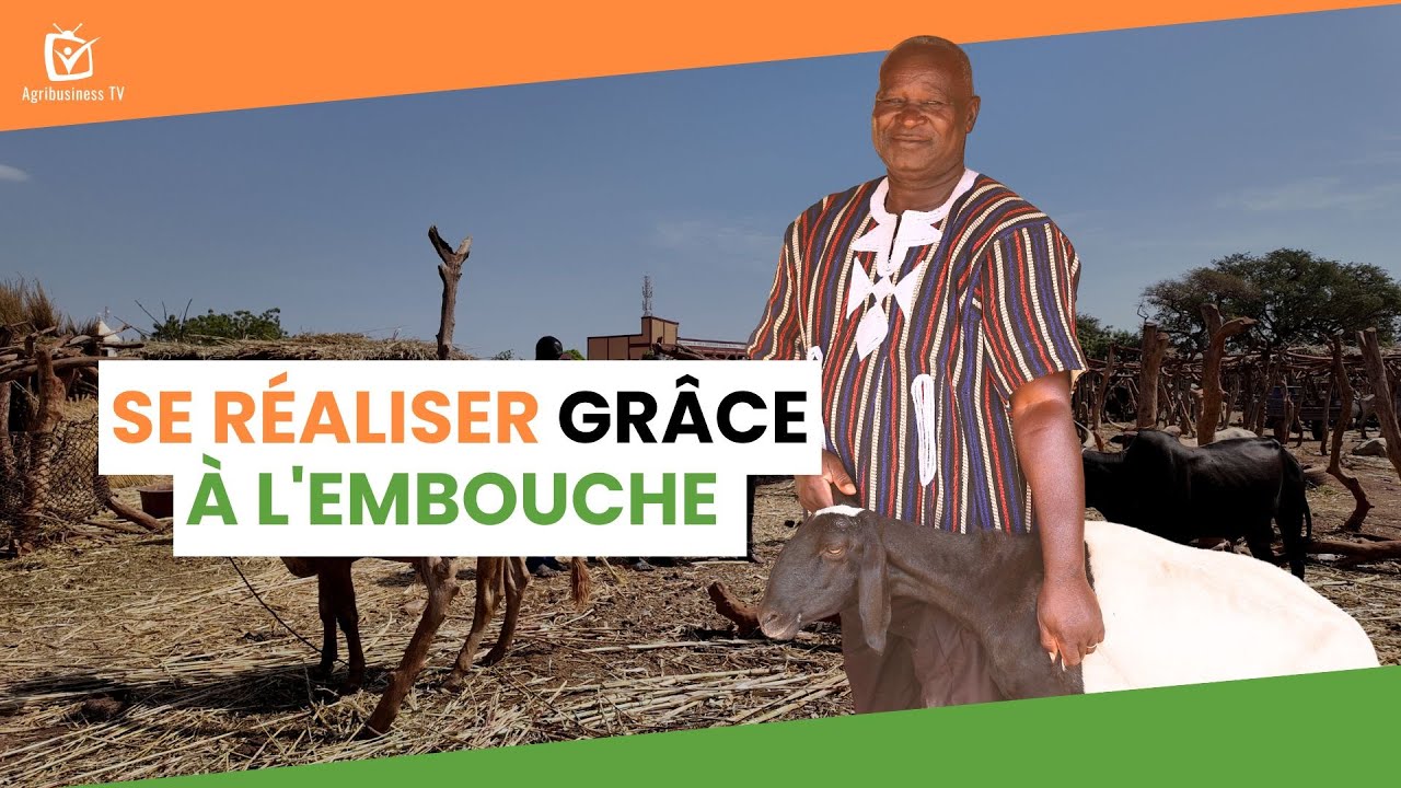 Burkina Faso : Se réaliser grâce à l'embouche - YouTube