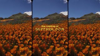 MisterWives - The Making of SUPERBLOOM