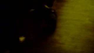 Stue doing a back flip drunk