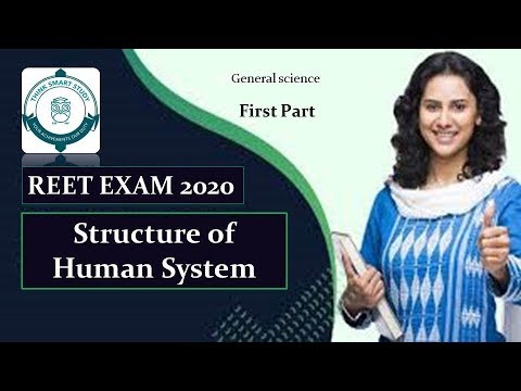 structure of human system - YouTube