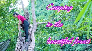 Solo Camping - Camp in the beautiful forest - Relax with birds singing - ASMR