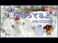 雪がふってるよ《童謡》(歌&ピアノ・高橋知子)朝起きると窓の外は真っ白。初めて見る雪景色、「はやく来て、来て」と大声でお母さんを呼びました。