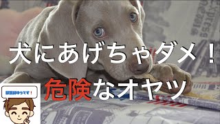 【獣医が教える】犬にあげると危険なオヤツ５選　〜これはあげてほしくない！〜