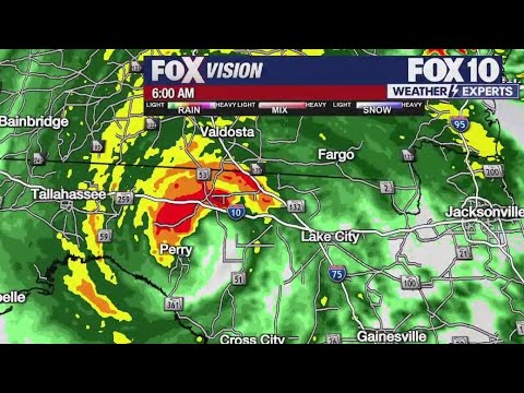 Hurricane Idalia makes landfall as Category 3 storm