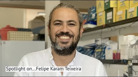 Spotlight: Dr Felipe Karam Teixeira (Group Leader)