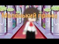 //Маленький принц...//lis_rizik// час работы...