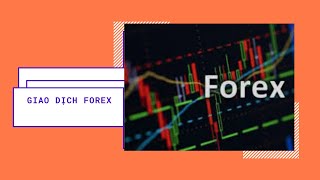 Rèn luyện kỷ luật trong Giao Dịch Forex như thế nào | Bí Mật Trading | YTB