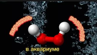 ПРИМЕНЕНИЕ ПЕРЕКИСИ ВОДОРОДА В АКВАРИУМЕ. "Ну что, похимичим?😏"