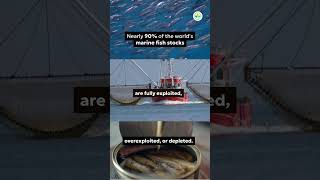 The Truth About Our Oceans and Food Systems