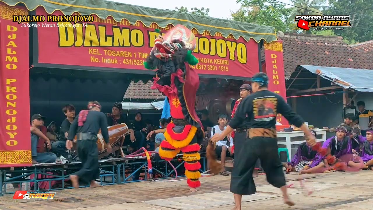 Rampokan Singo Barong DJALMO PRONOJOYO Live Sukorejo Wetan Rejotangan TA Shafira Audio
