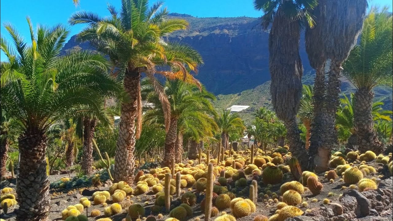 Cactualdea Park Gran Canaria