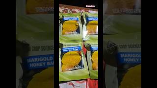 Marigold F1 Hybrid Honey Ball Yellow | Tejasvi Seeds | Marigold seeds | Marigold Farming | Genda