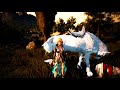 Black Desert online.Анонс Обновления/Копия Гира/Третья Рабама/Пробуда пробуды)