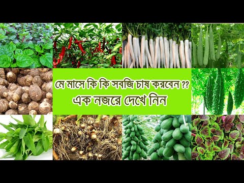 ভিডিও: মে মাসে কি রোপণ এবং বপন করতে হবে