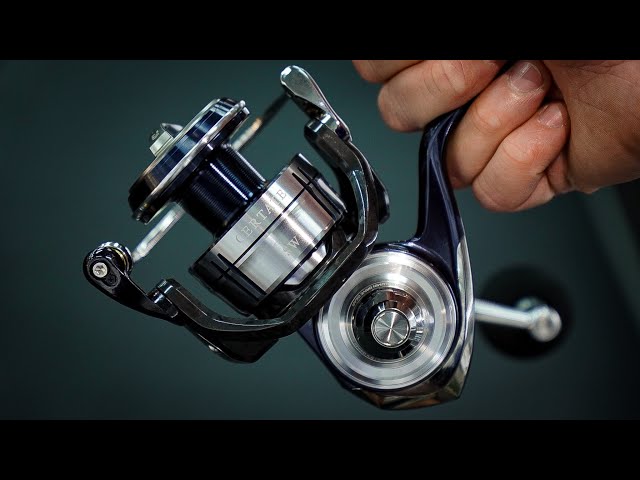 Daiwa CERTATE SW 21 Is this the BEST value Spinning reel on the