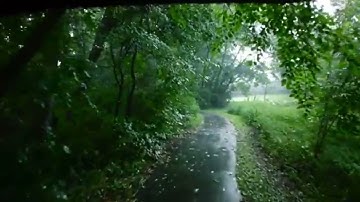 "من سورة الانبياء" تلاوة خاشعة للقرئ | عبدالبديع غيلان