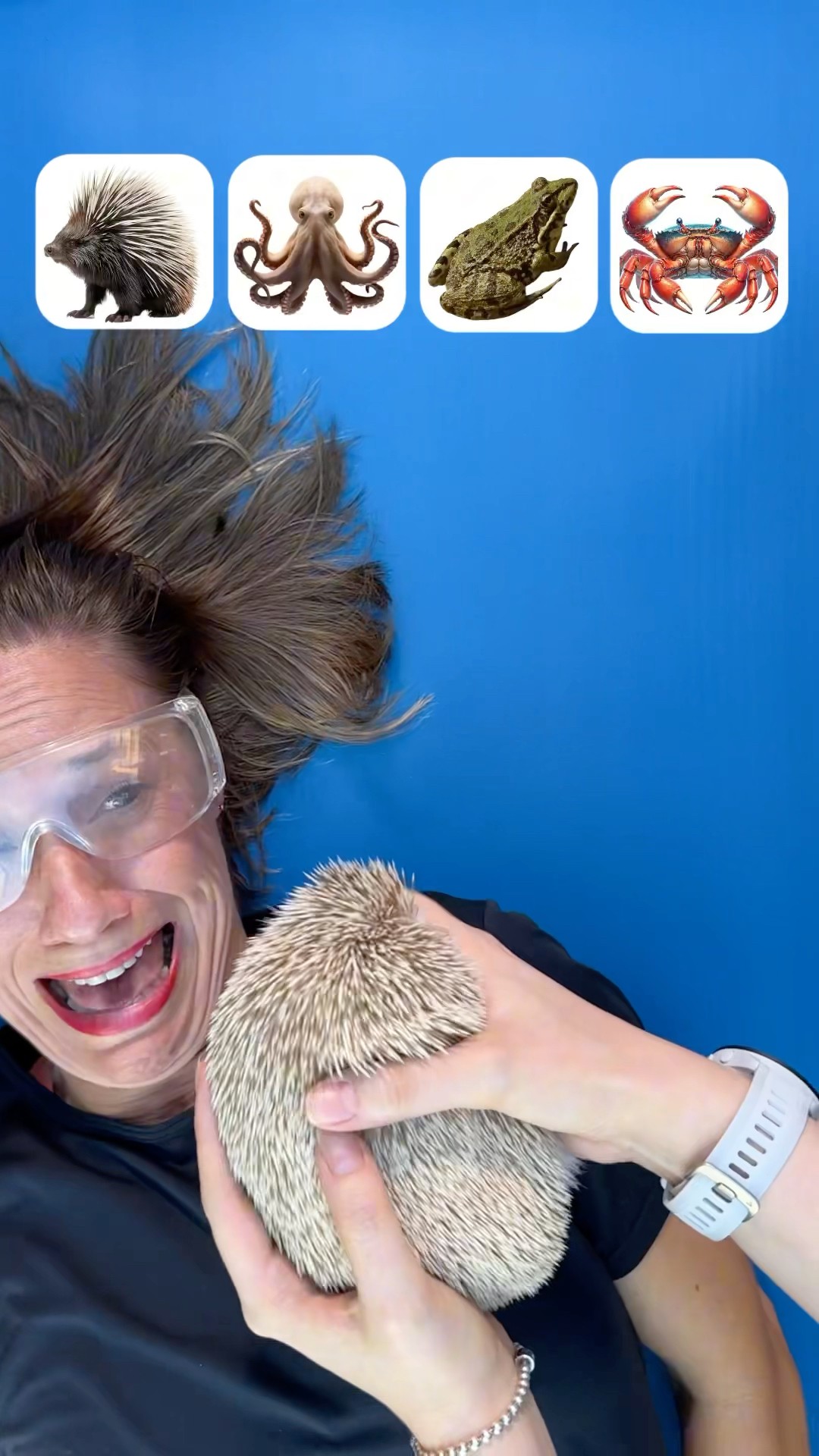 Which Animal Was the Scariest?? #shorts
