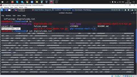 HTB STEGO challenge DIGITAL CUBE