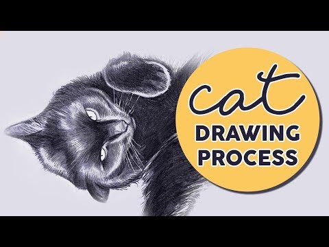 Drawing from 'SCRATCH' 🤣 - CAT PORTRAIT