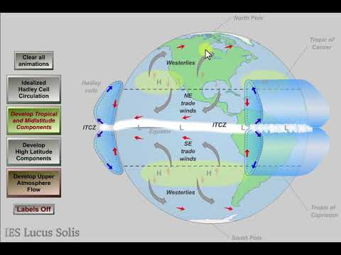 Vídeo: En circulació a gran escala en atmosfera de convecció?