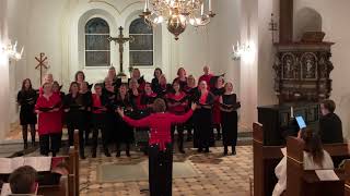 Video thumbnail of "I natt föds ett hopp med Stehags kyrkokör i Bosarps kyrka 2023-12-10"