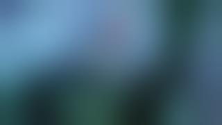 Kasus penikaman d hotel