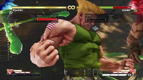 Guile Flash Kick CA Combos