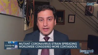 Mutant coronavirus strain spreading worldwide considered more contagious | NewsNation Now