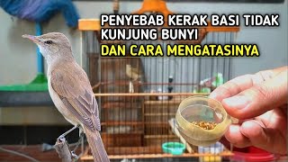 Penyebab kerak basi tidak kunjung bunyi padahal pelihara sudah lama