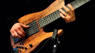 Melodic Bass Solo 'Precipice' with slow chords at 3:10 | DADGC Tuning | (by request)