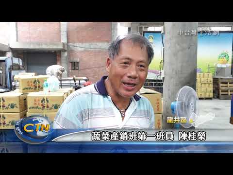 龍井西瓜滯銷
